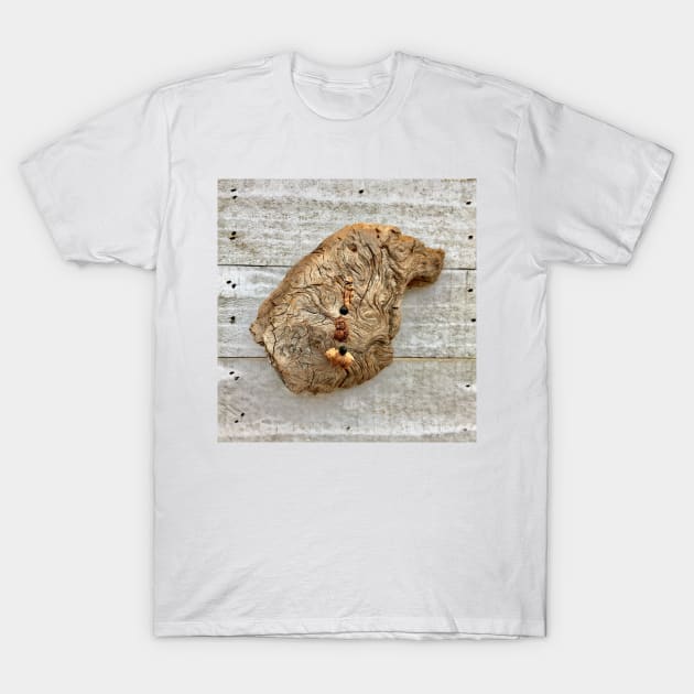 Driftwood T-Shirt by Laura Brightwood